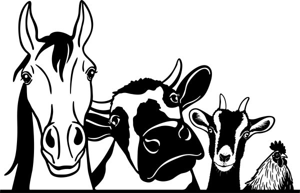 Vinilo de corte